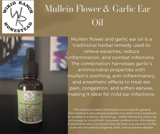Mullein Flower & Garlic Ear Oil